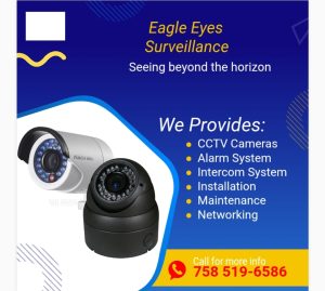 Eagle Eyes Surveillance